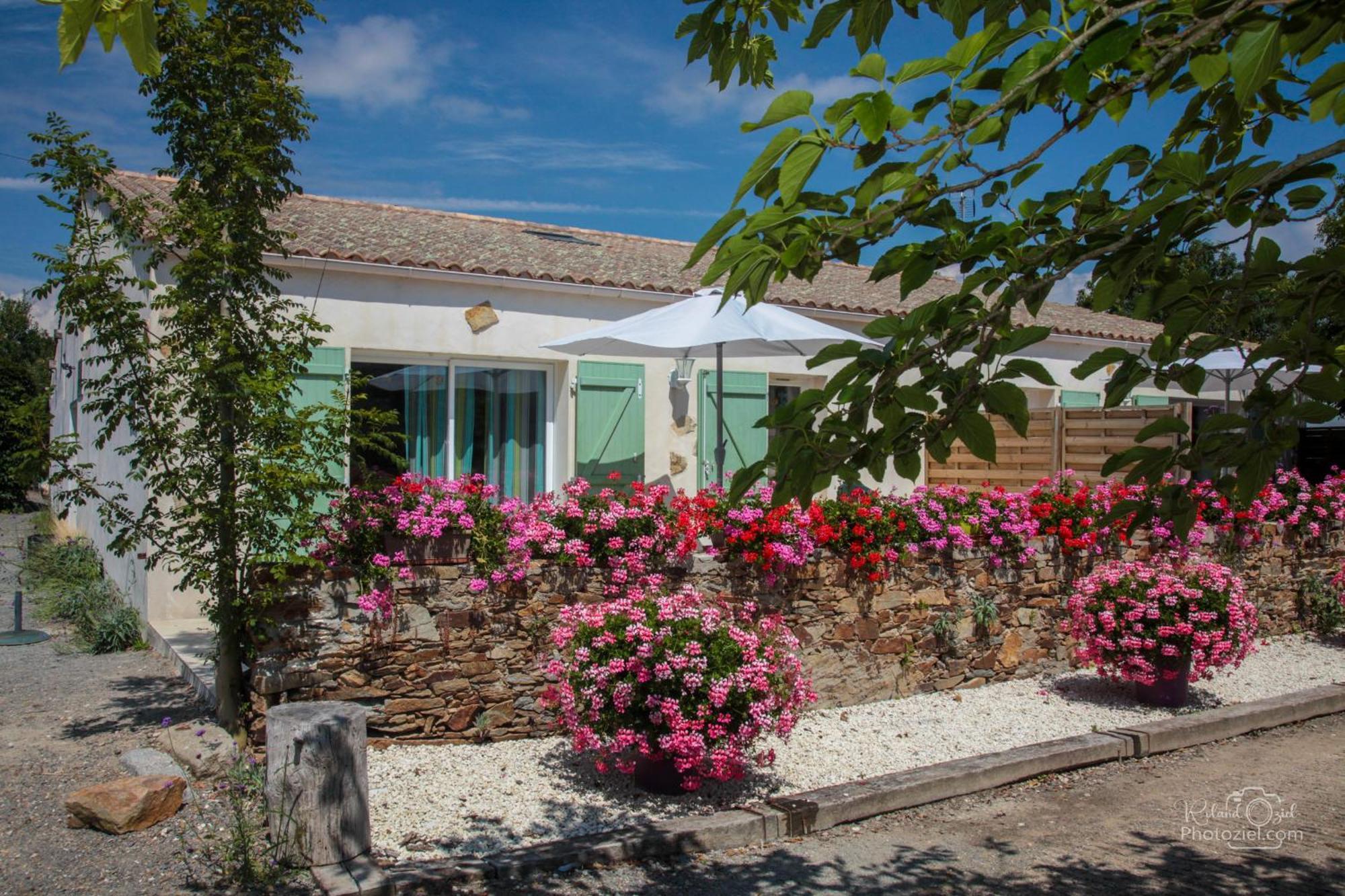 Domaine Les Rousselieres Villa Olonne-sur-Mer Eksteriør billede