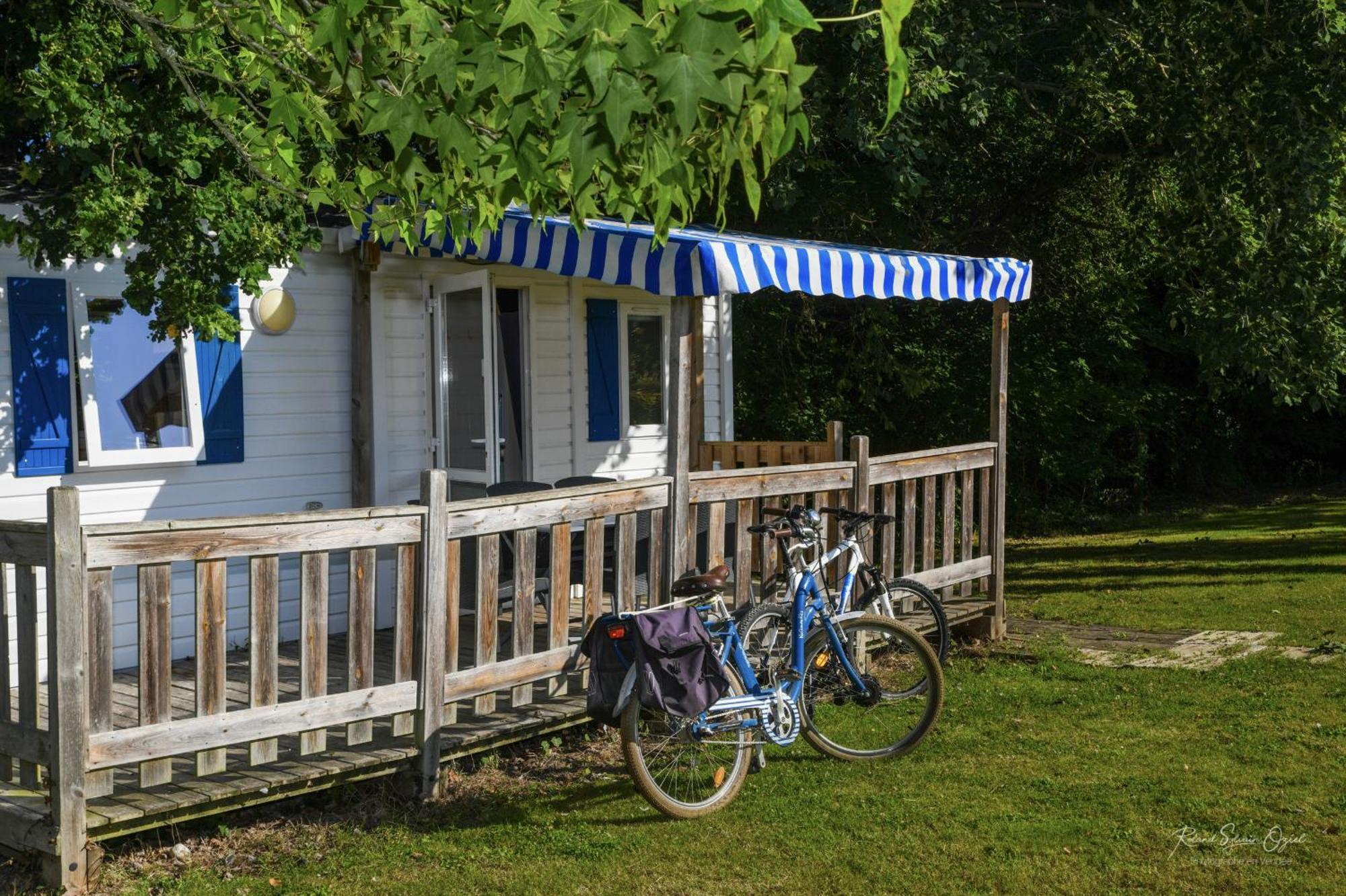 Domaine Les Rousselieres Villa Olonne-sur-Mer Eksteriør billede